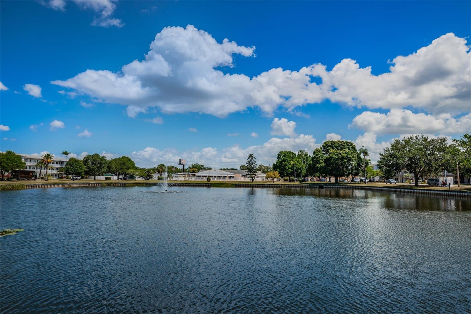 TOWN APTS CONDO - Residential