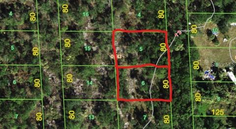 239 & 245 SAWFISH LANE PUNTA GORDA FL 33982