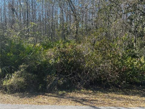 1228 MURDOCK BOULEVARD ORLANDO FL 32825