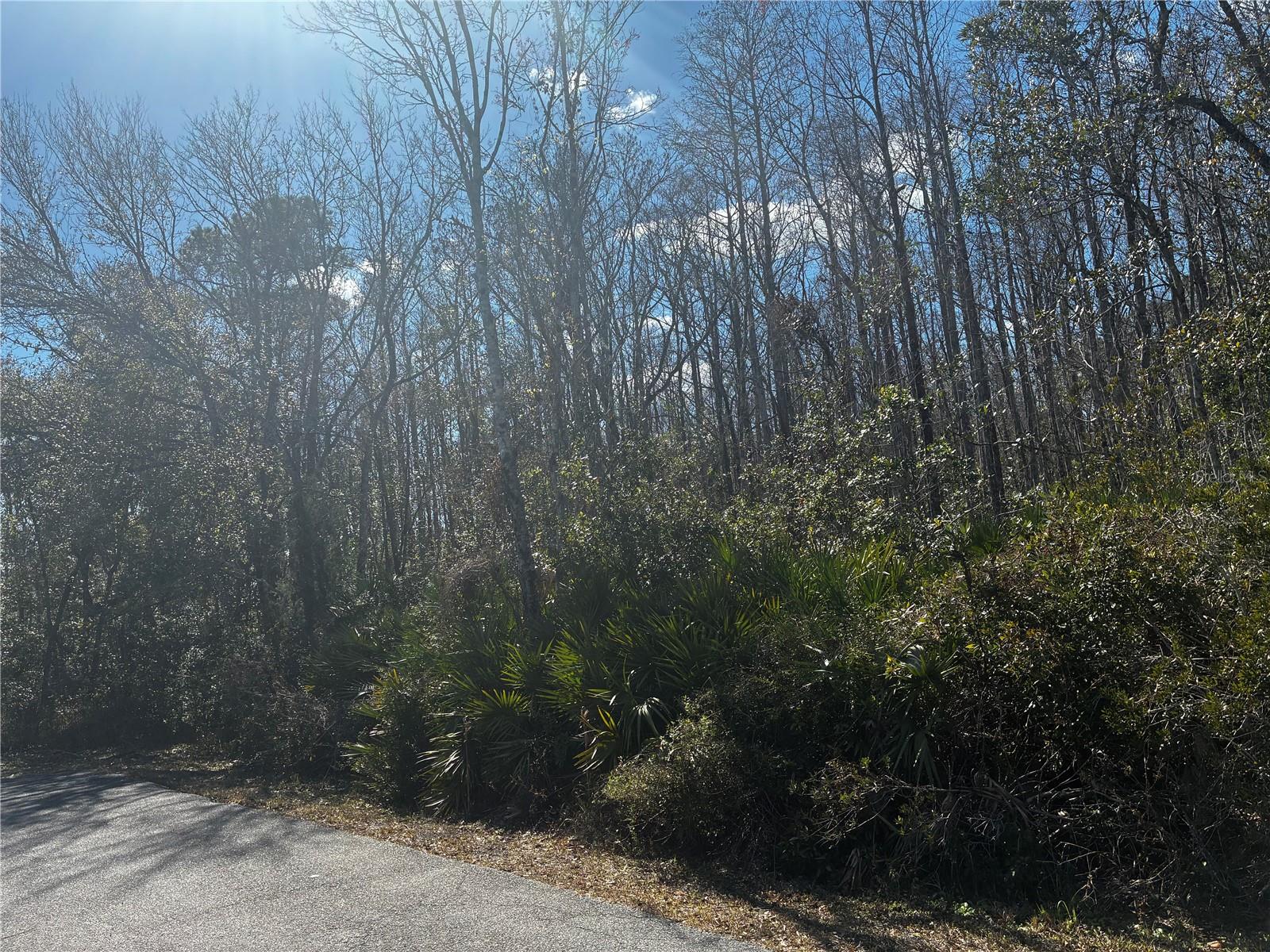 1228 MURDOCK BOULEVARD