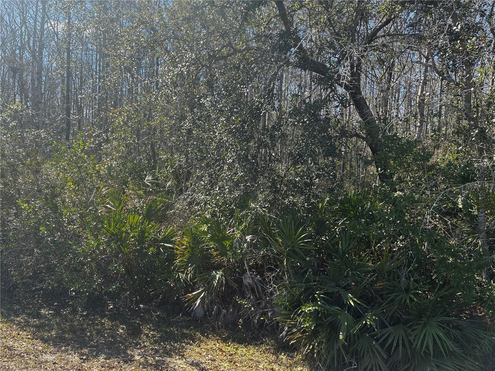 1228 MURDOCK BOULEVARD