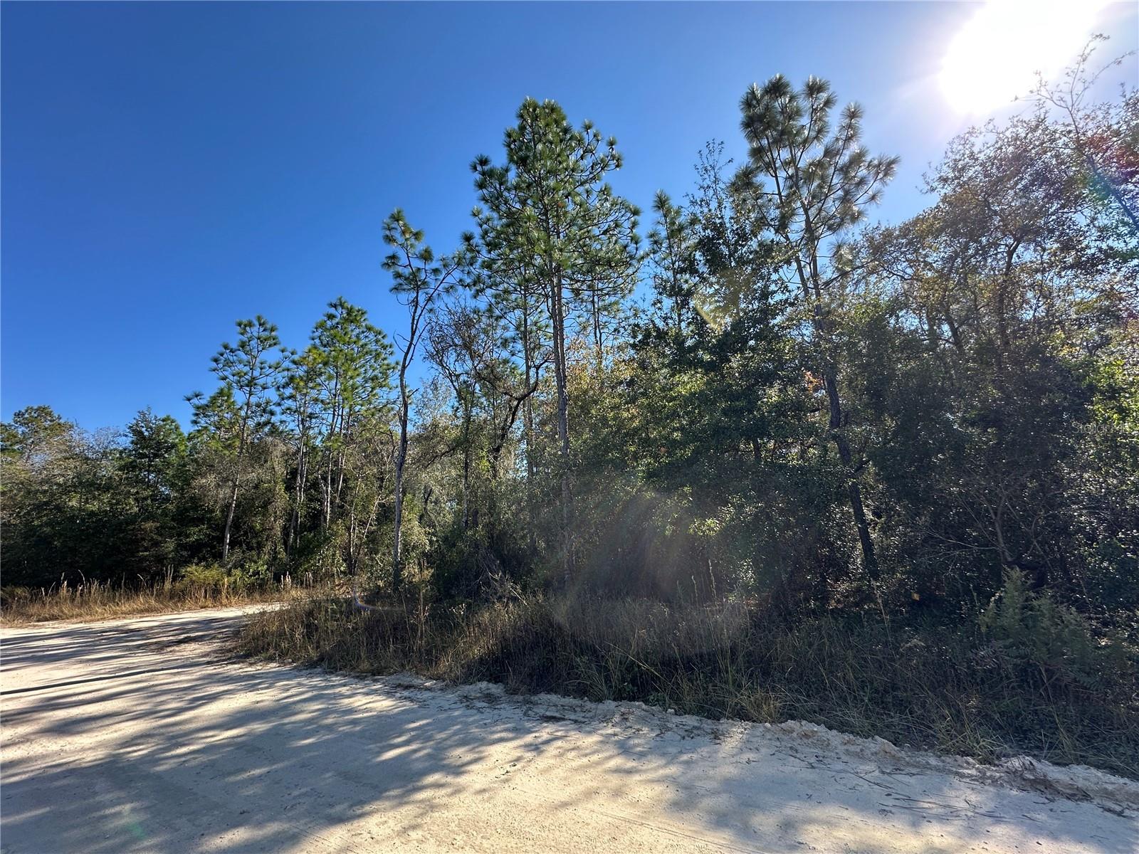 WILLISTON HIGHLANDS UNIT 14 - Land