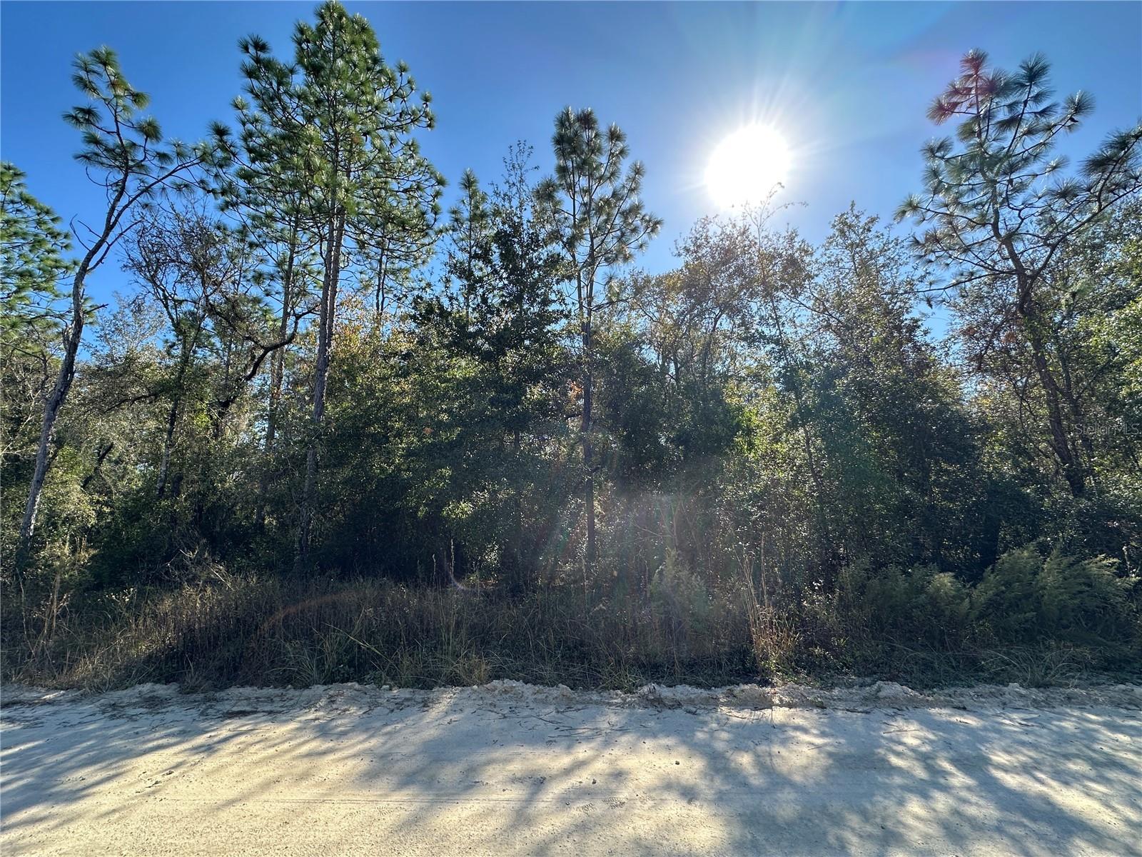 WILLISTON HIGHLANDS UNIT 14 - Land