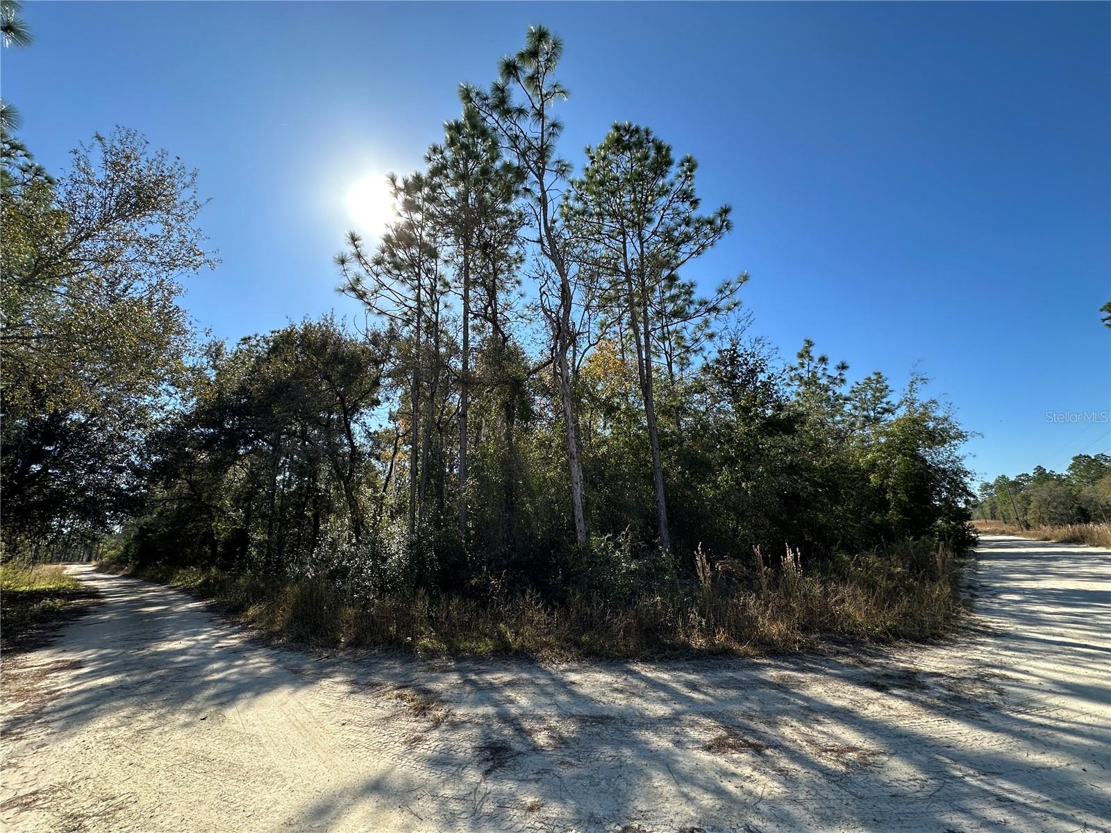 WILLISTON HIGHLANDS UNIT 14 - Land