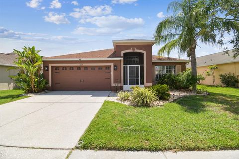 31244 BACLAN DRIVE WESLEY CHAPEL FL 33545