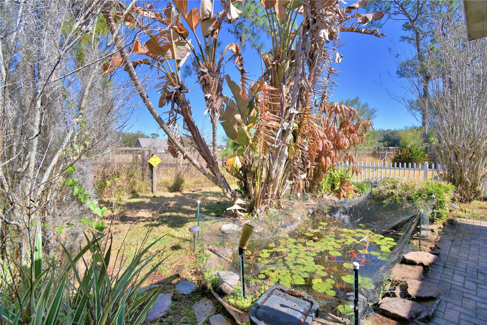 ORCHID SPRINGS PATIO HOMES - Residential