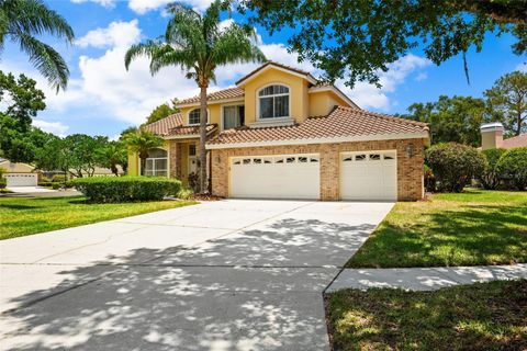 A home in TAMPA