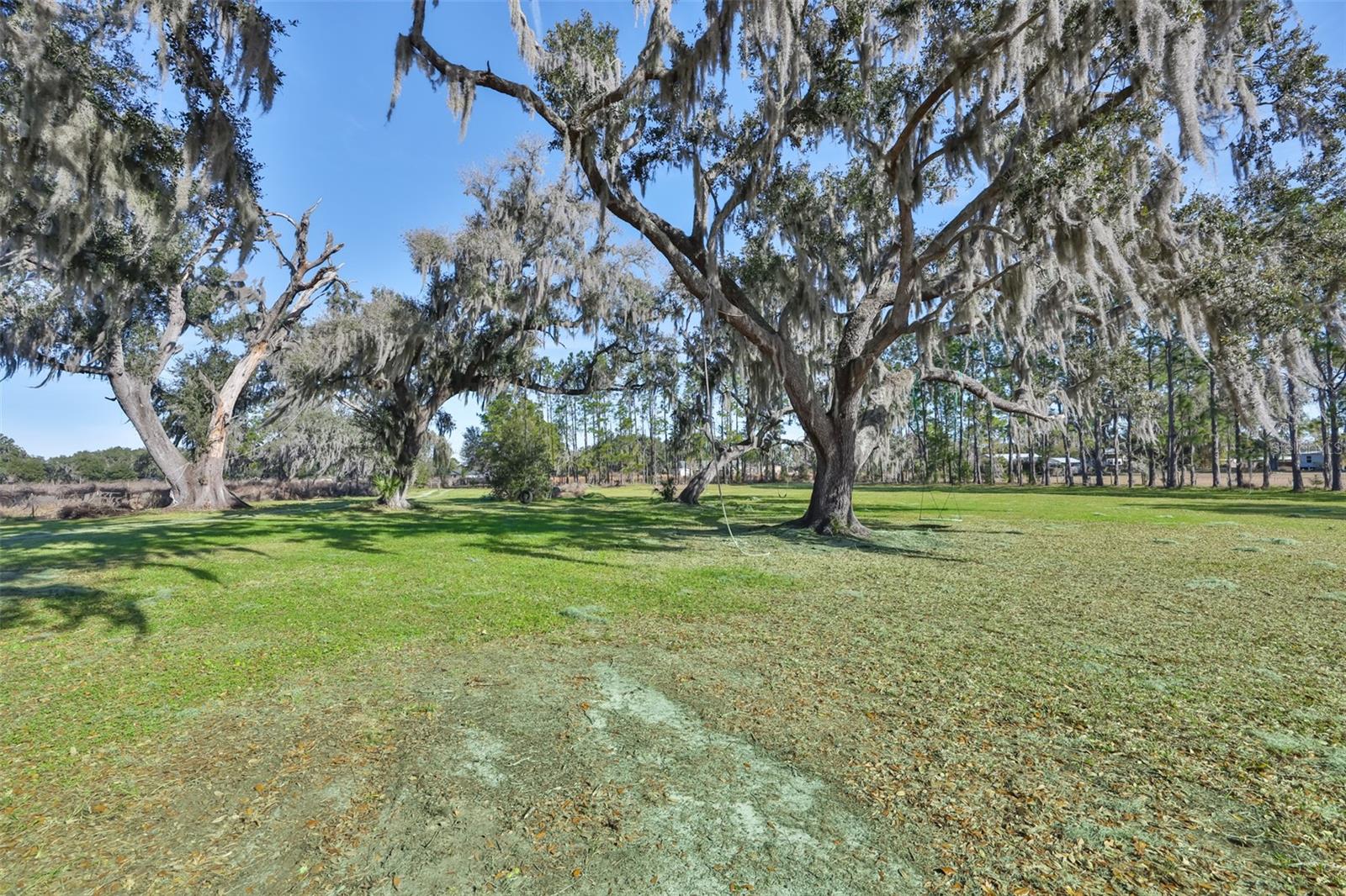 UNPLATTED - Residential