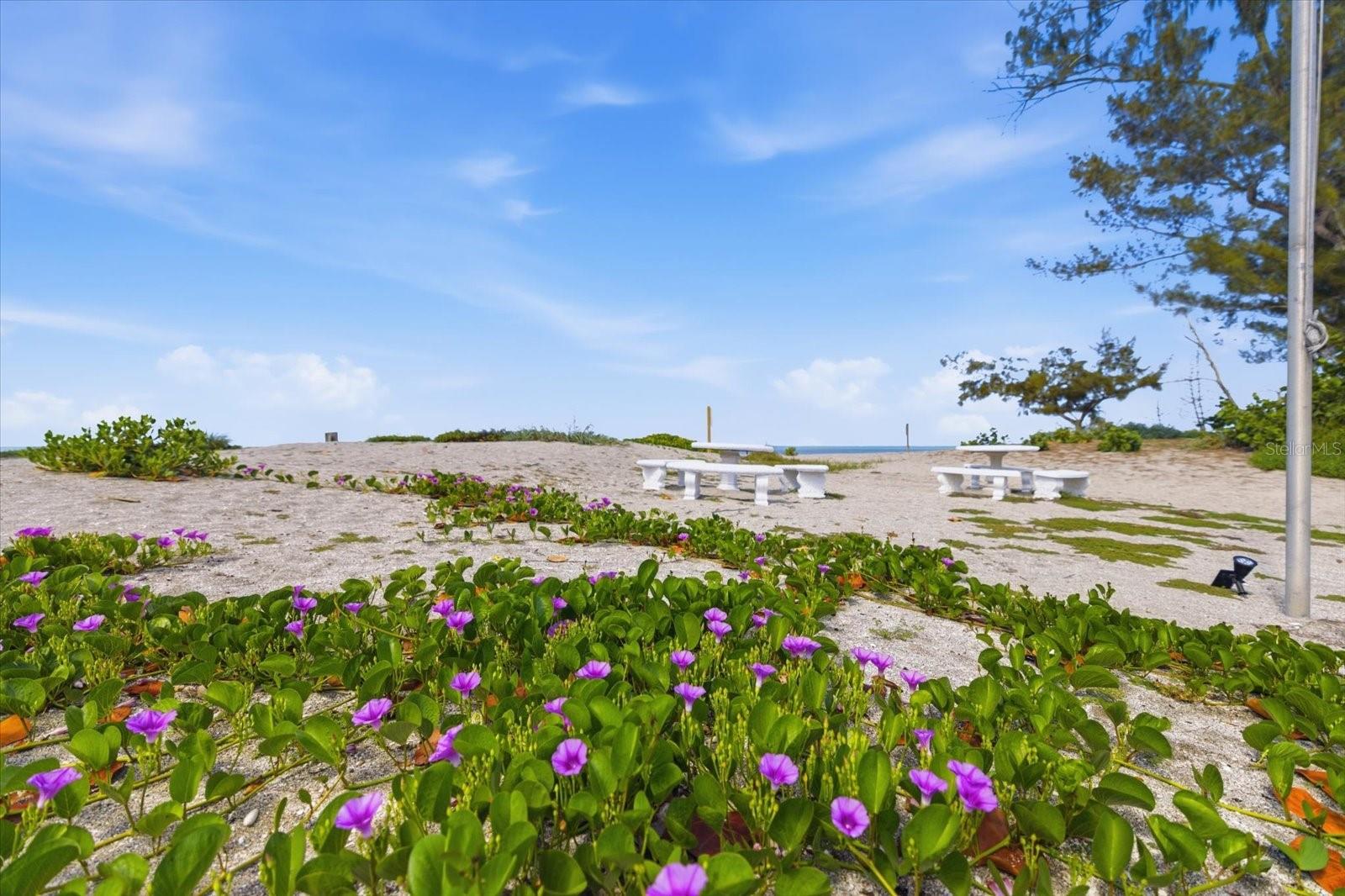JETTY VILLAS - Residential
