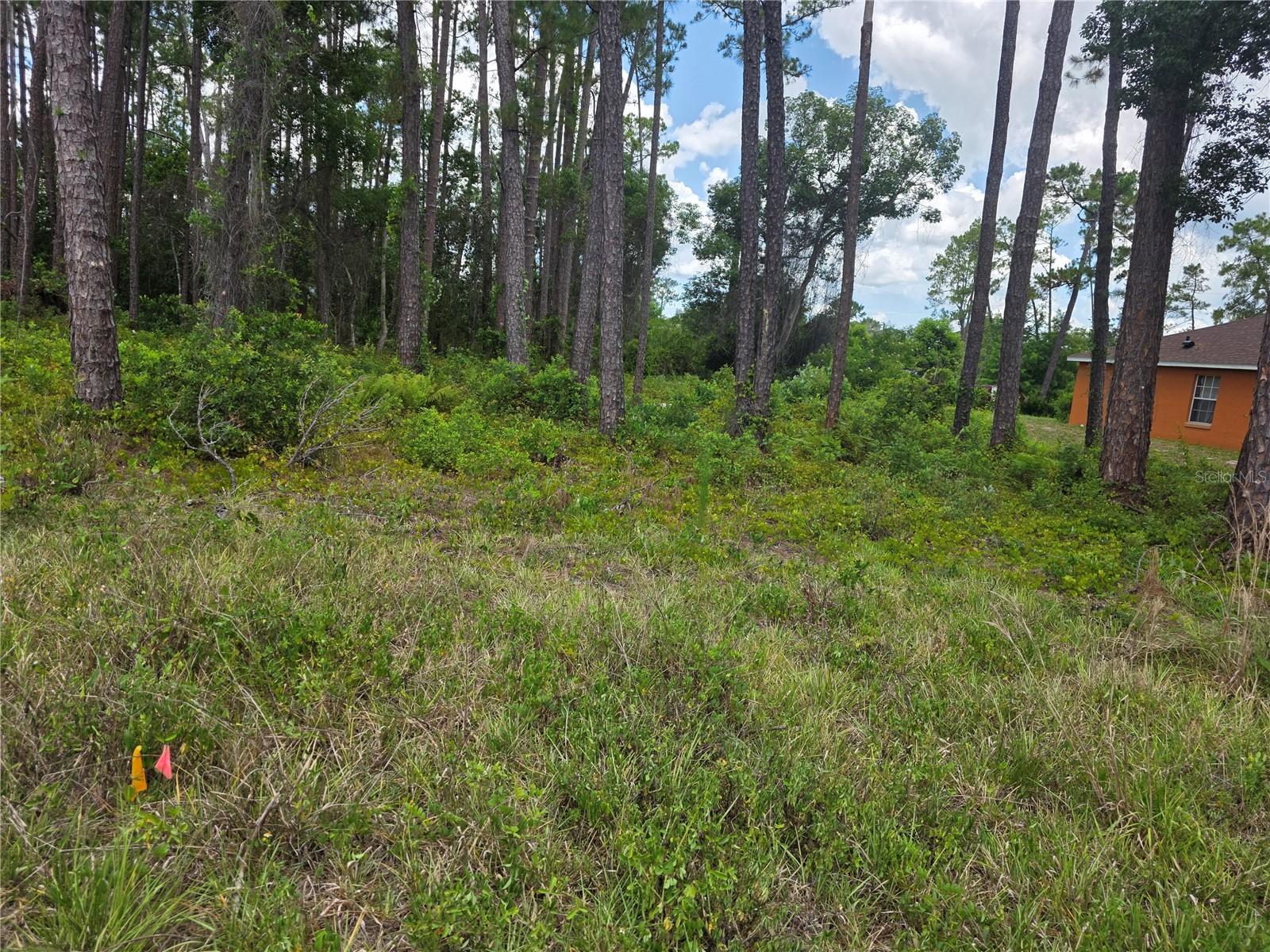 Don’t miss this exceptional opportunity to build your dream home or investment project on three adjoining parcels located in the sought-after Daytona Park Estates. Each lot offers 0.2583 acres (11,250 sq. ft.), for a combined total of 0.775 acres. NO HOA – enjoy the freedom to design without restrictive covenants. These parcels are being sold together and are ideally situated just minutes from Daytona Beach, shopping, dining, I-4, and world-famous Orlando attractions. Whether you're a builder, investor, or future homeowner, this property offers endless potential in a prime location.