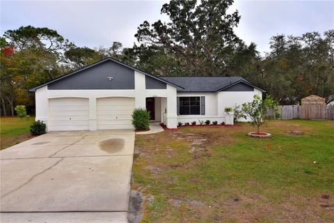Photo of 4014 Treetop Circle, Spring Hill, FL 34606 (MLS # TB8454618)
