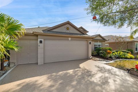 A home in LAND O LAKES