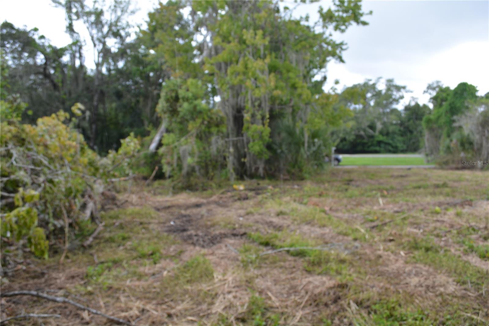 WASHINGTON PARK OVIEDO - Land