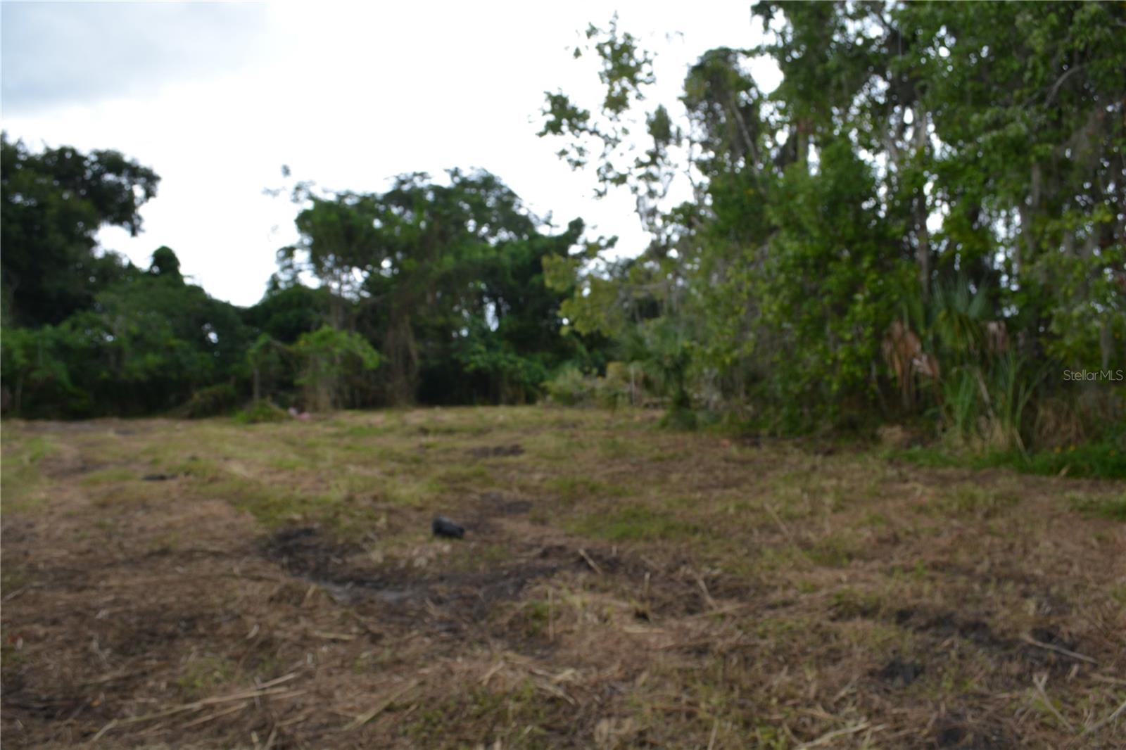 WASHINGTON PARK OVIEDO - Land