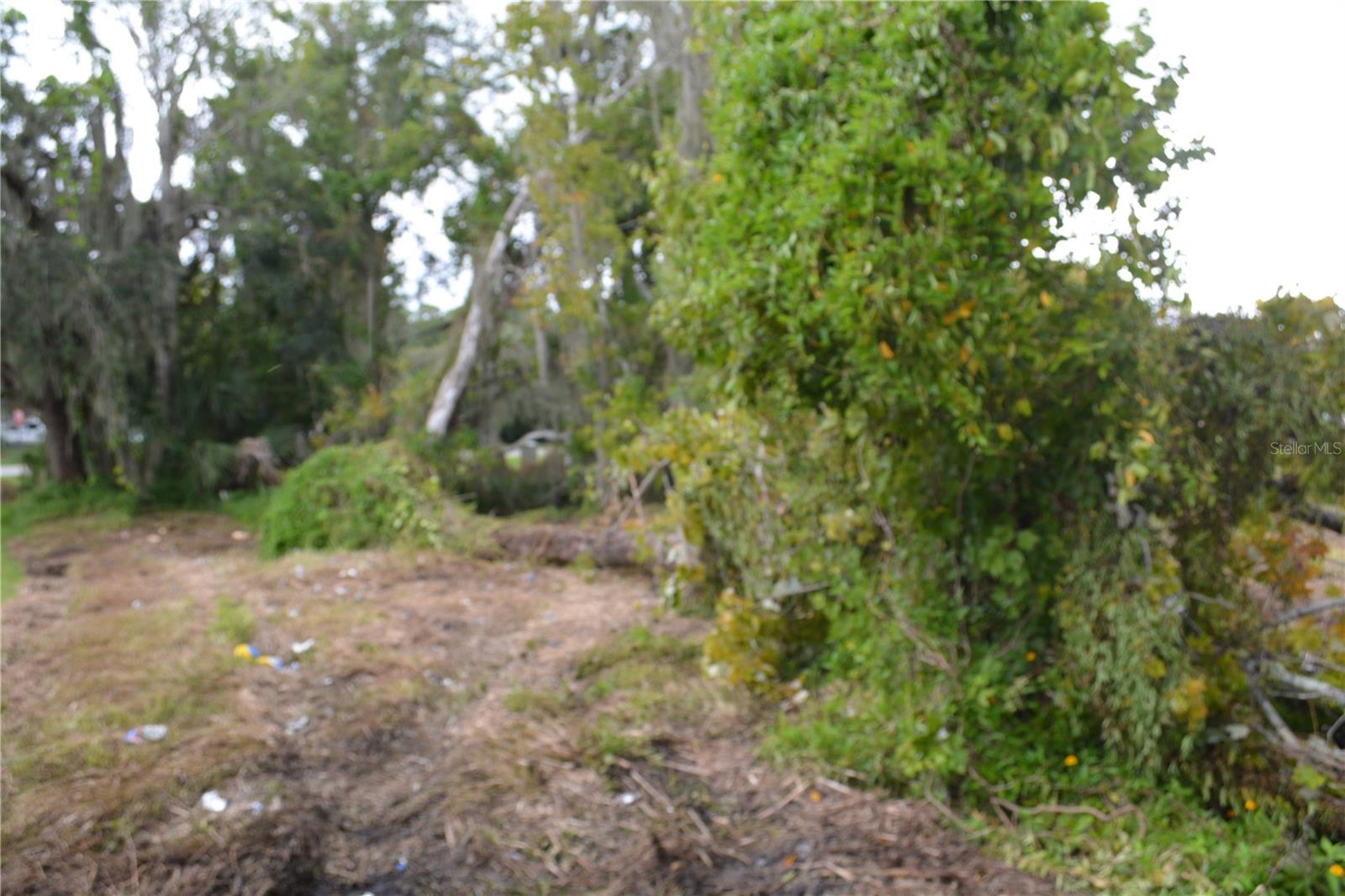 WASHINGTON PARK OVIEDO - Land