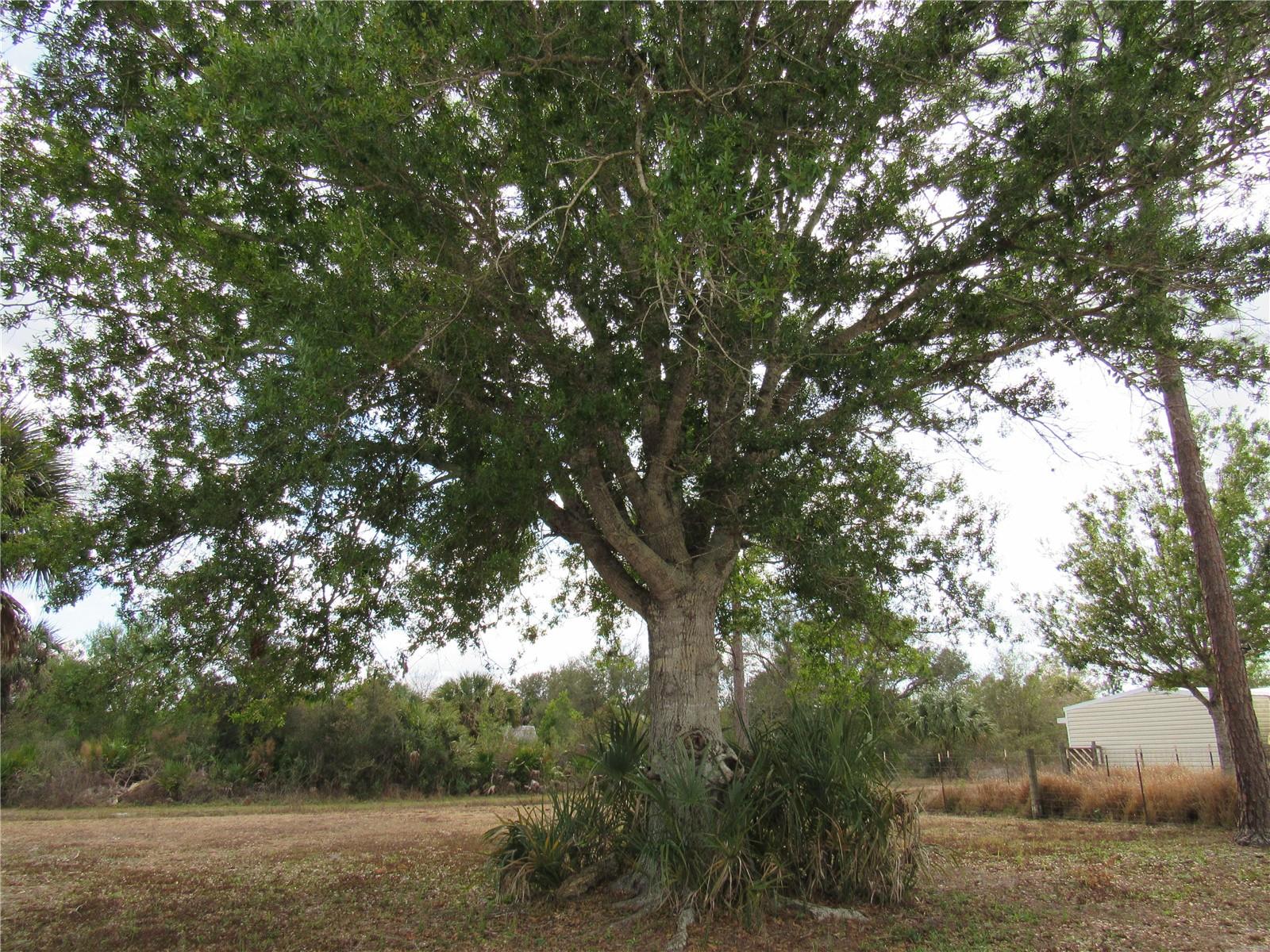 GOLDEN RANCHES 05 - Residential