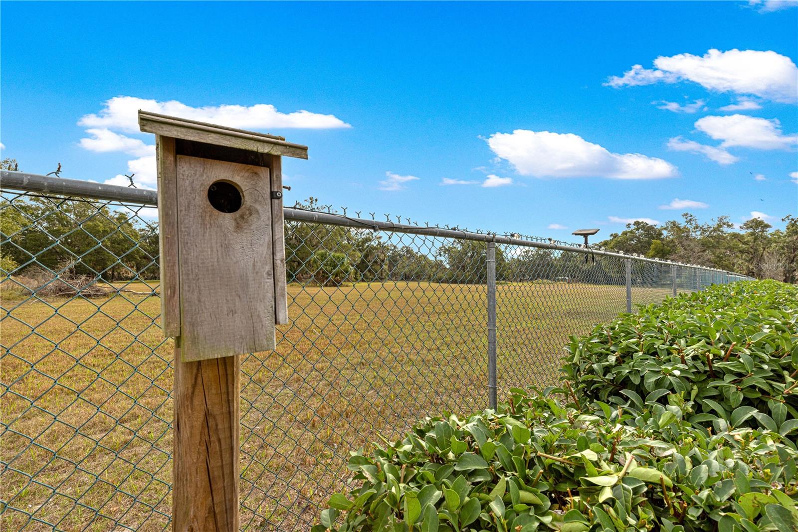 INDIGO EAST - Residential