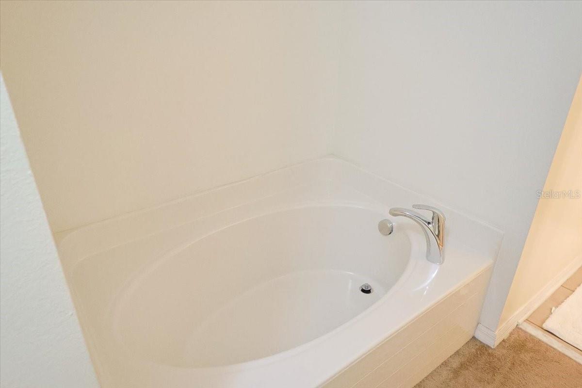 PALMETTO RDG - Residential