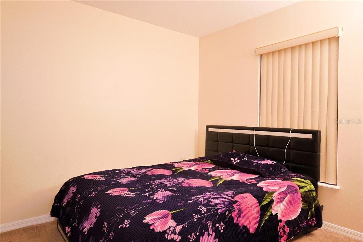 PALMETTO RDG - Residential