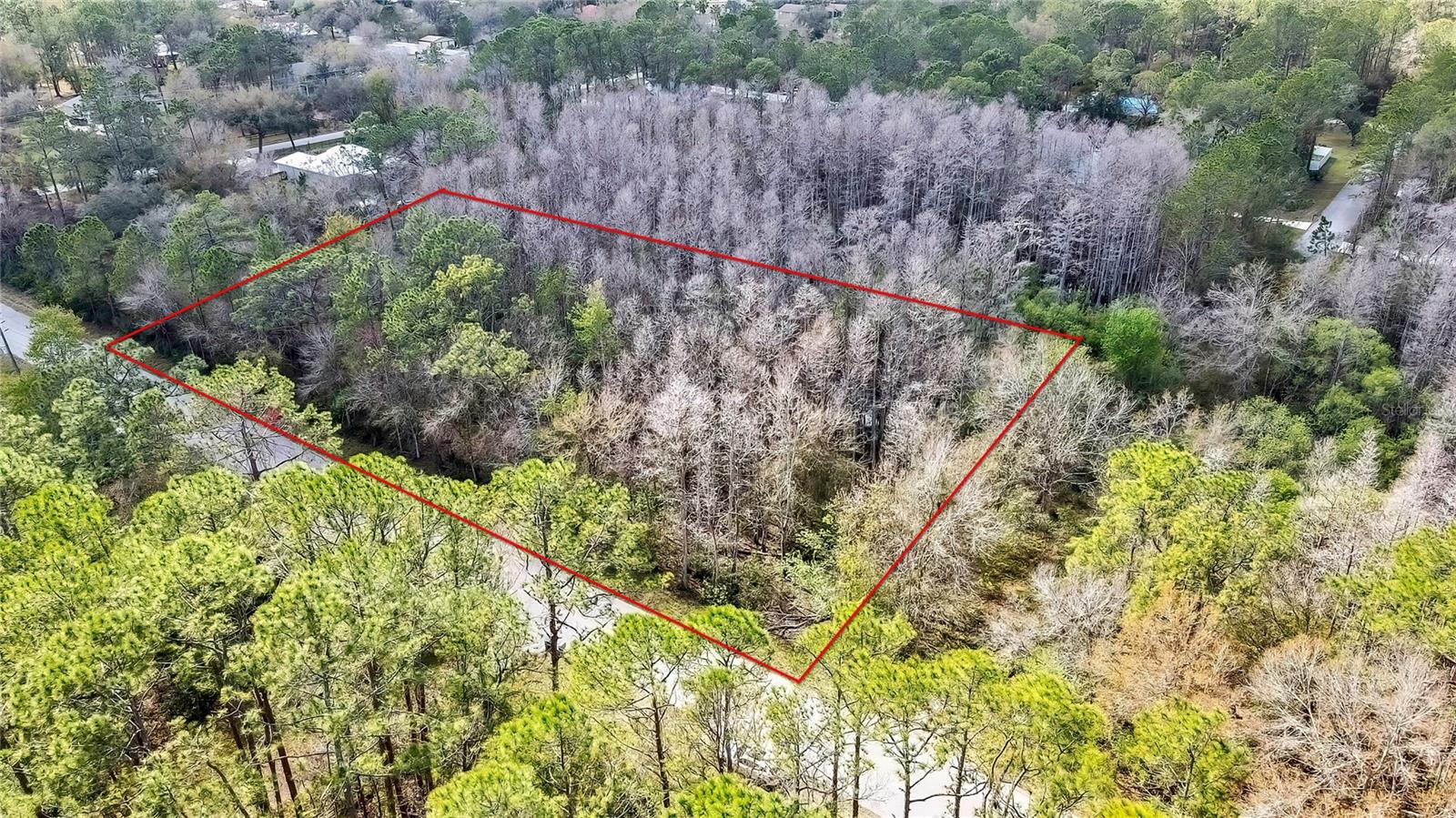 BEAVER LANE