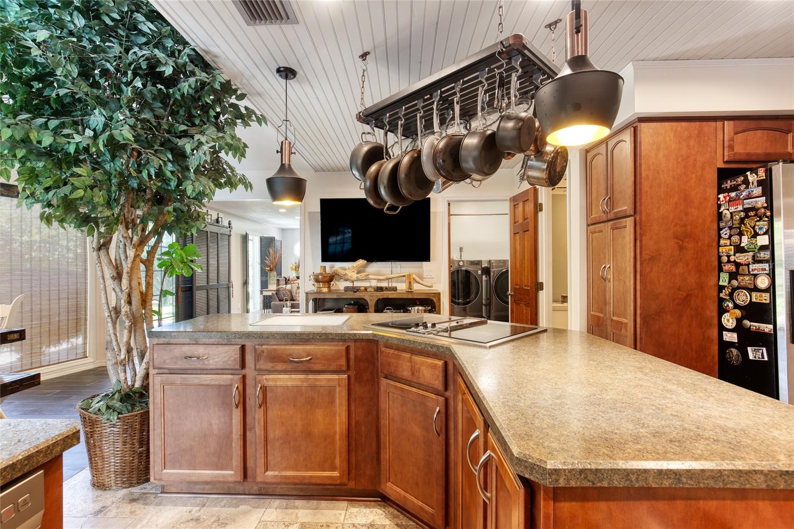 FOX HOLLOW - Residential