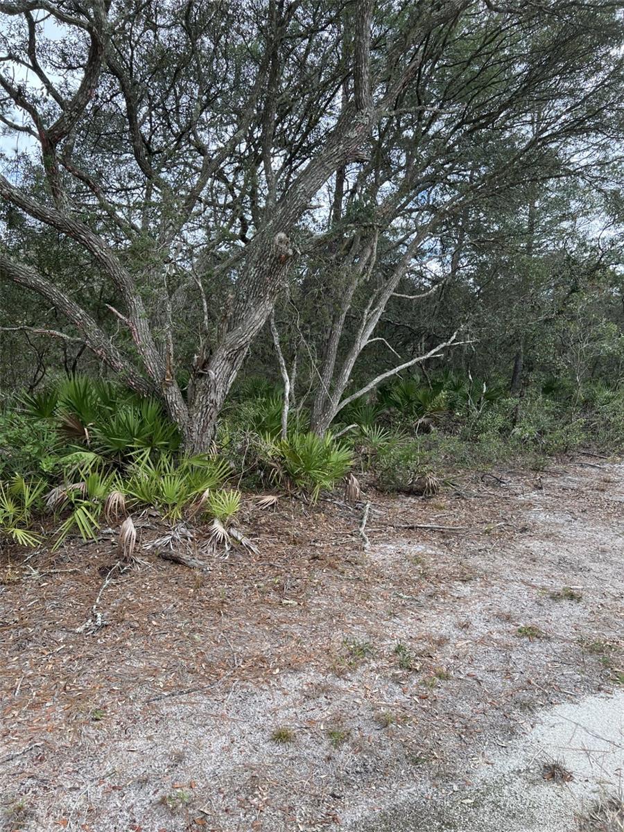 MILL CREEK CAMPSITES - Land