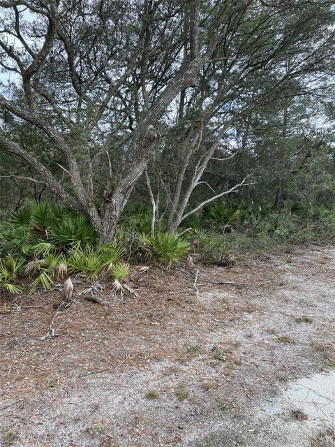 Photo of 0 NE 144 Court, Fort Mccoy, FL 32134 (MLS # OM725200)