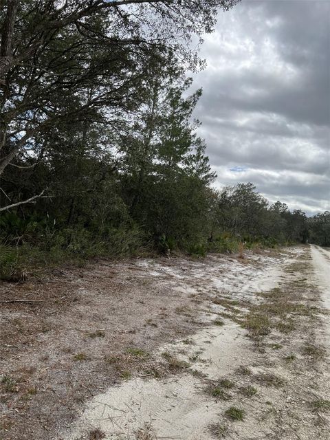 Tiny photo for 0 NE 144 Court, Fort Mccoy, FL 32134 (MLS # OM725200)