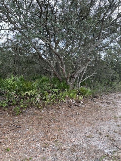 Tiny photo for 0 NE 144 Court, Fort Mccoy, FL 32134 (MLS # OM725200)