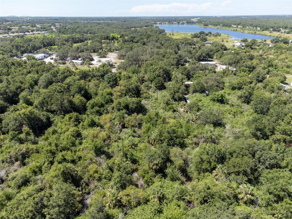 Photo of 12020 Bullfrog Creek Road, Gibsonton, FL 33534 (MLS # TB8410883)