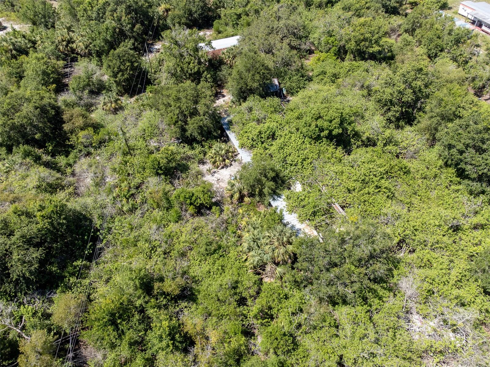 12020 BULLFROG CREEK ROAD