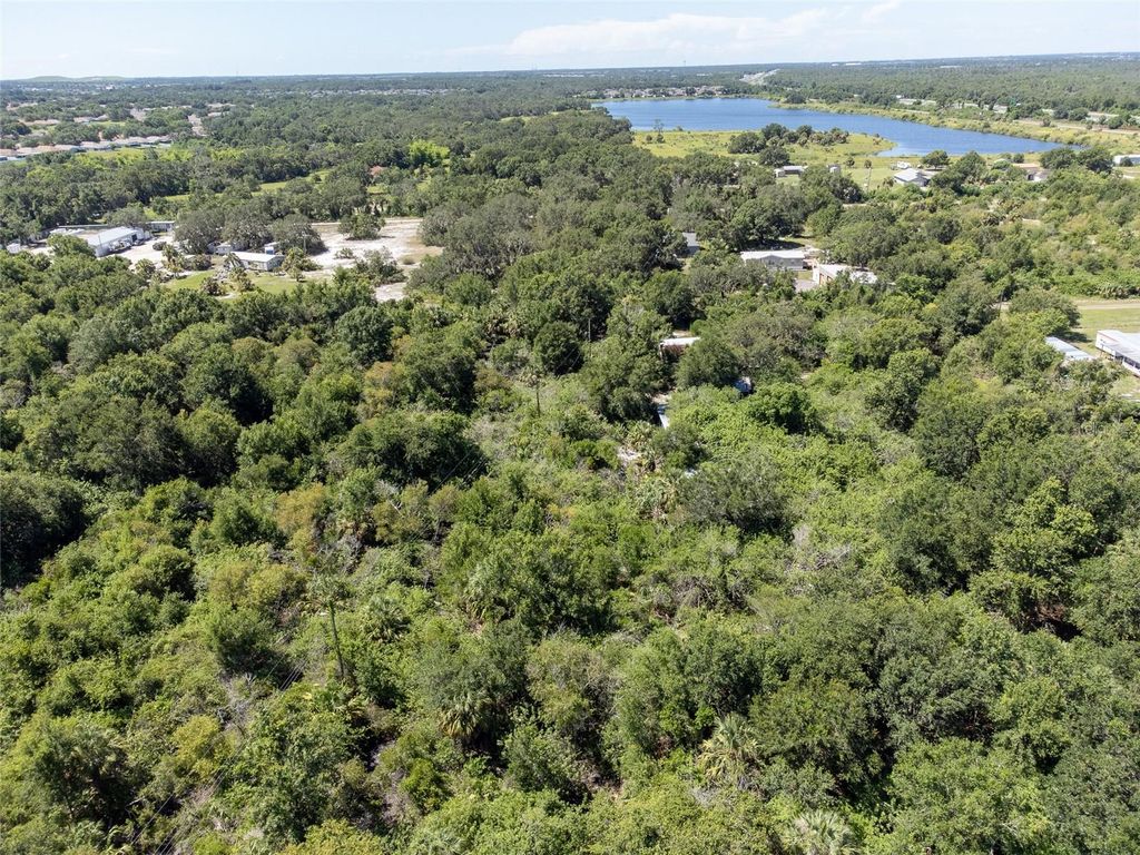 Photo of 12020 Bullfrog Creek Road, Gibsonton, FL 33534 (MLS # TB8410883)