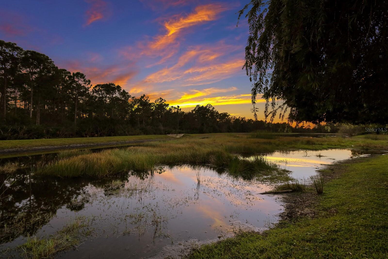 CONCESSION PH I - Residential