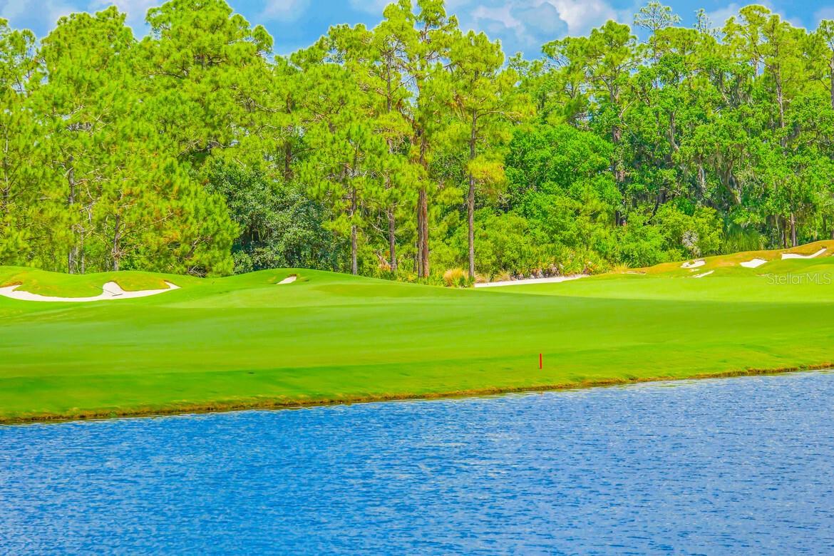 CONCESSION PH I - Residential