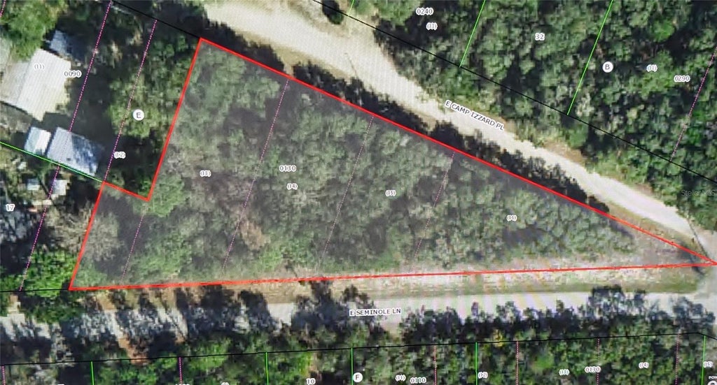 Photo of 4114 E Camp Izzard Place, Dunnellon, FL 34434 (MLS # OM730599)