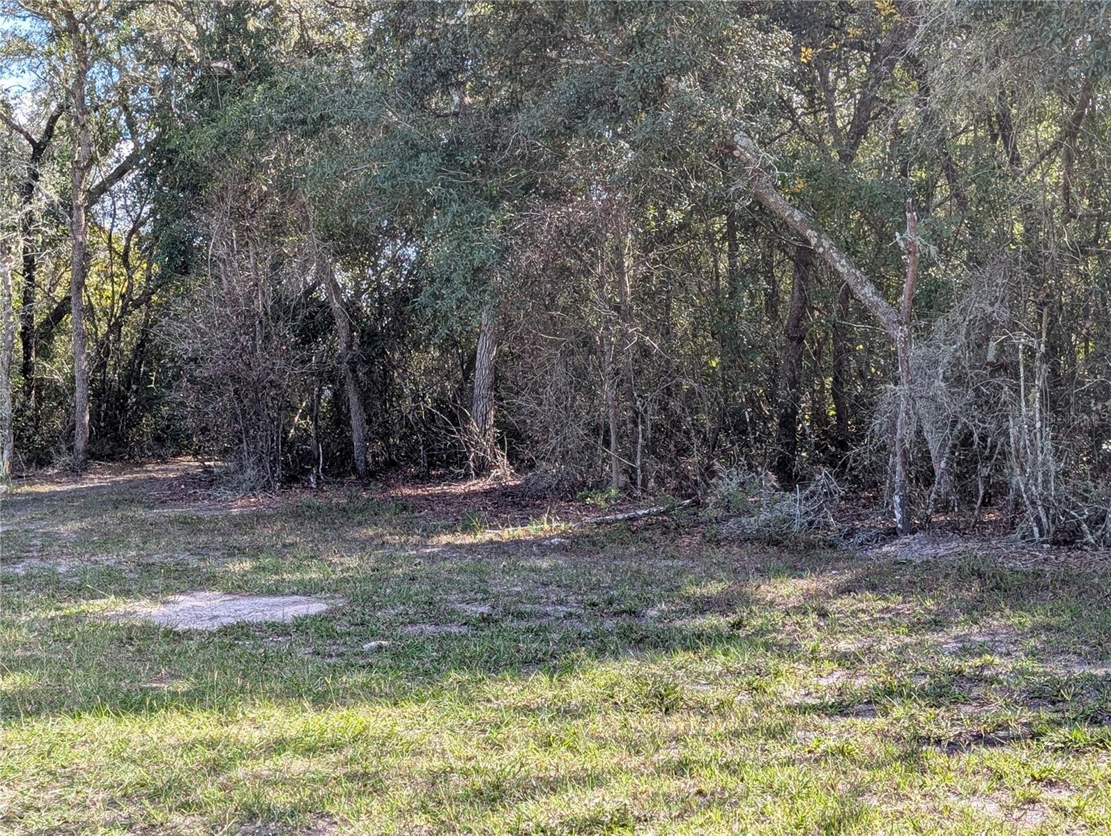 4114 E CAMP IZZARD PLACE