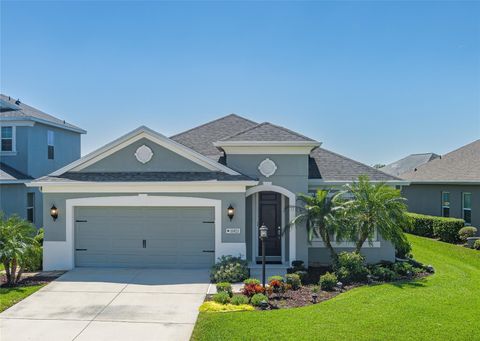 11021 BLUE MAGNOLIA LANE PARRISH FL 34219