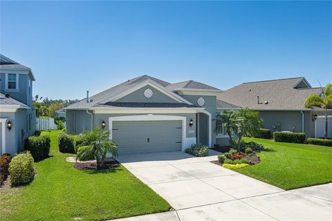 11021 BLUE MAGNOLIA LANE PARRISH FL 34219