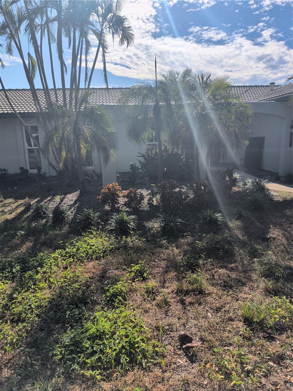 Photo of 1901 Illinois Avenue NE, St Petersburg, FL 33703 (MLS # J996958)