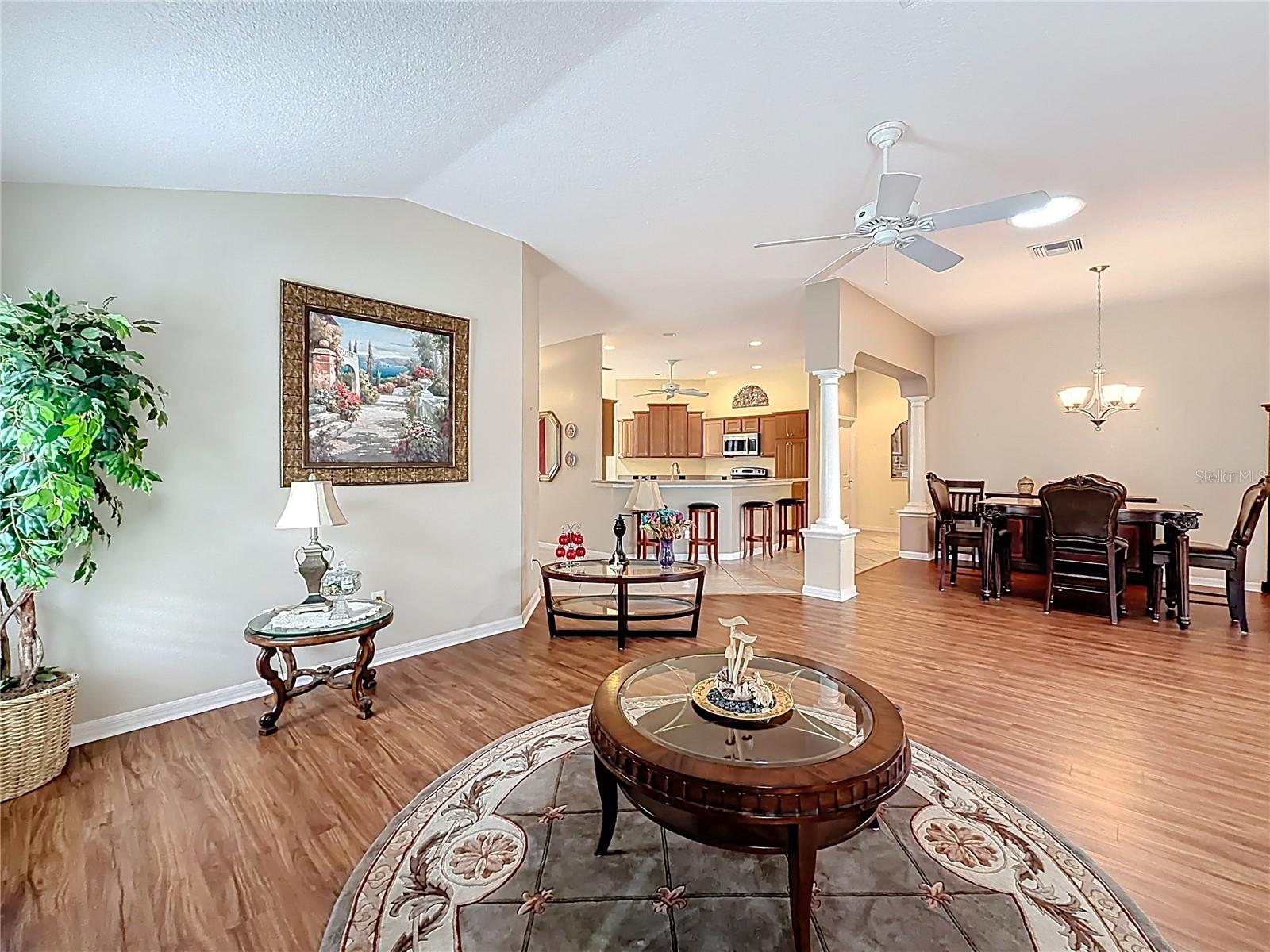 VILLAGES OF SUMTER - Residential