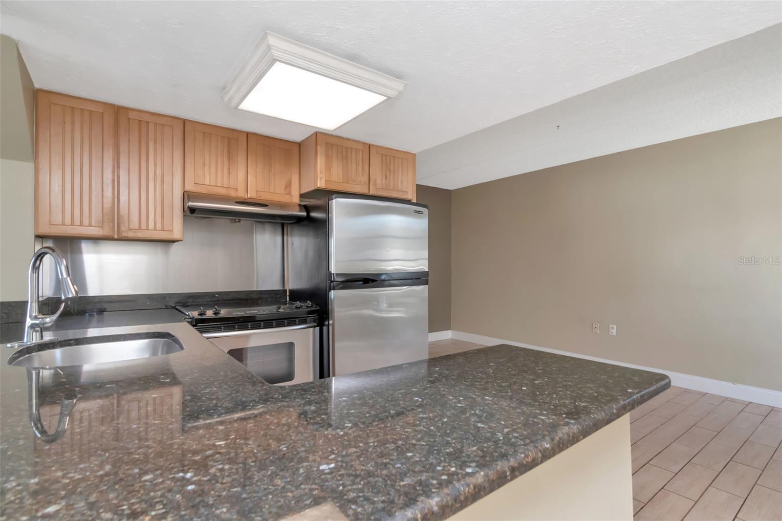 THE MARINA CLUB OF TAMPA BUILD - Residential