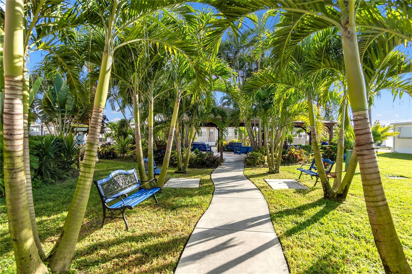 BRADENTON TROPICAL PALMS CO-OP - Residential