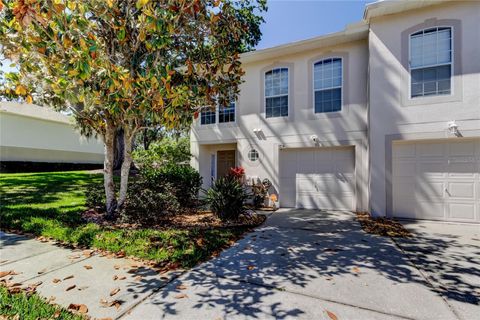 9814 ASHBURN LAKE DRIVE TAMPA FL 33610