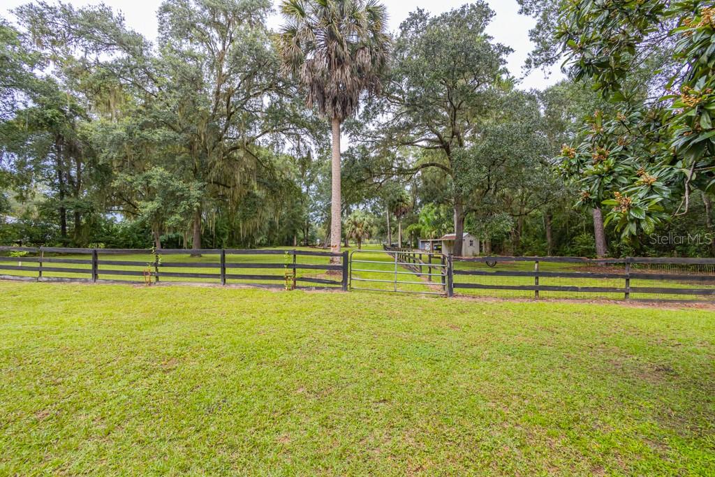 FLORIDA ORANGE GROVE - Residential
