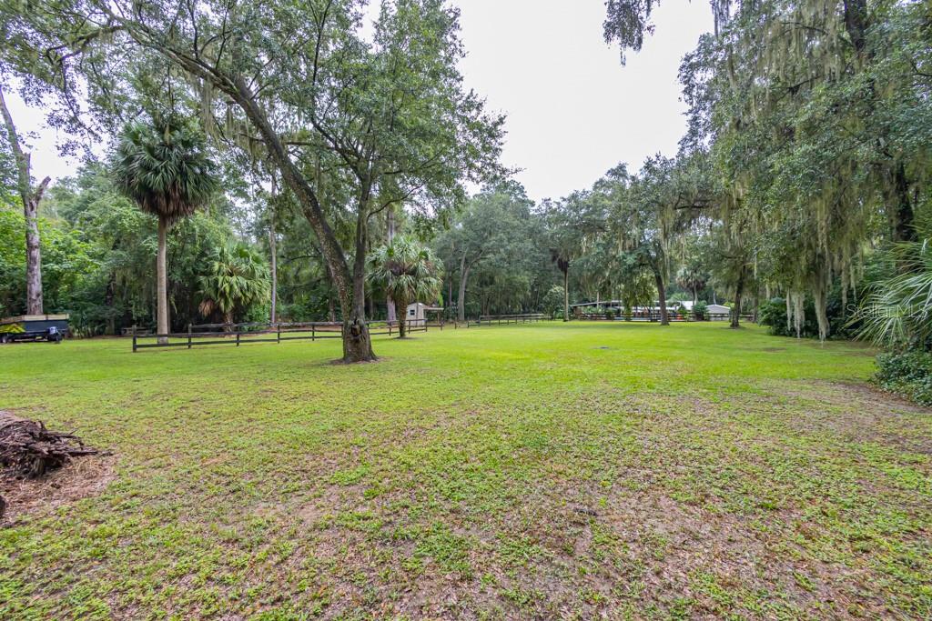 FLORIDA ORANGE GROVE - Residential
