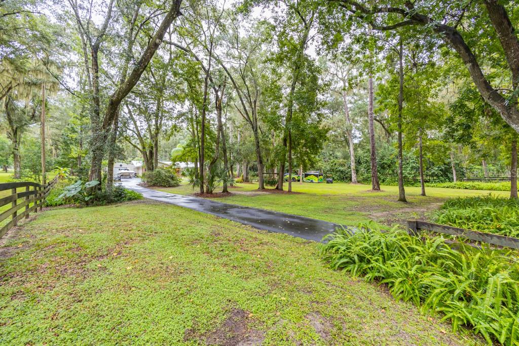 FLORIDA ORANGE GROVE - Residential