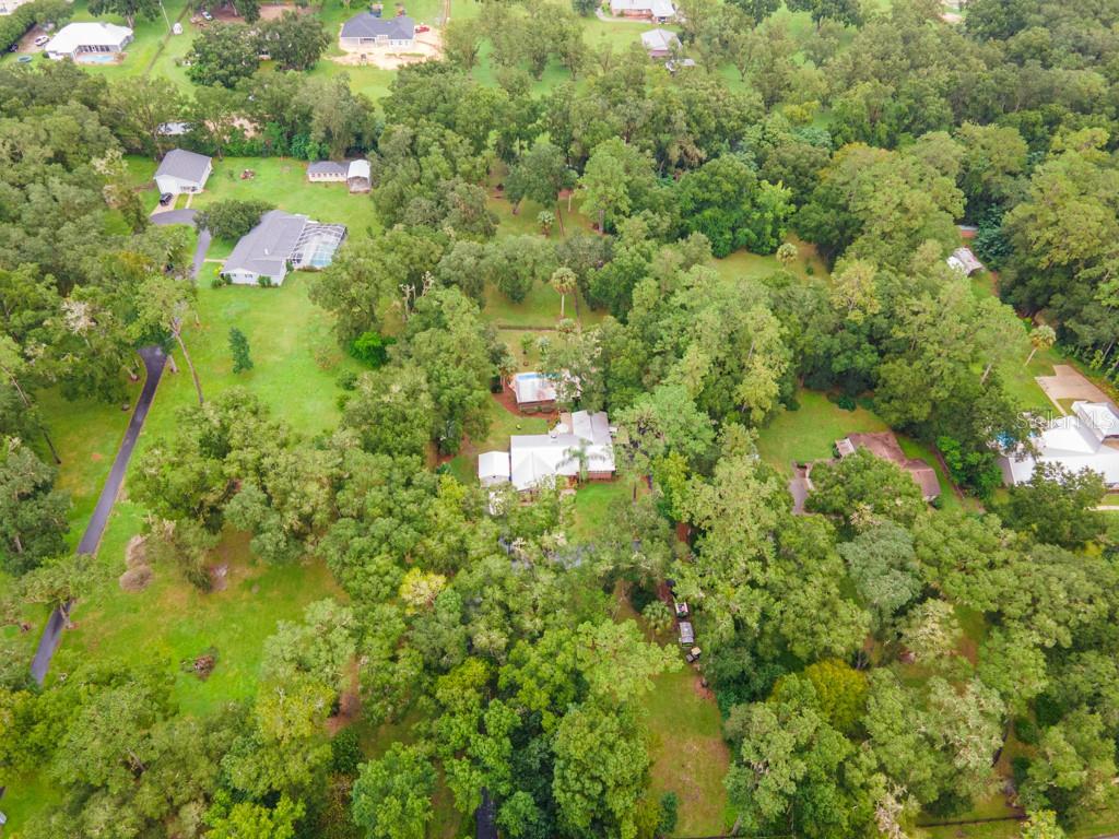 FLORIDA ORANGE GROVE - Residential
