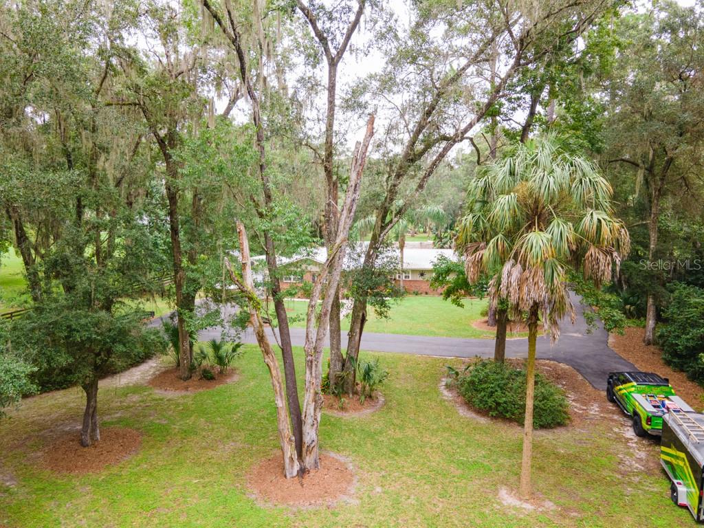 FLORIDA ORANGE GROVE - Residential