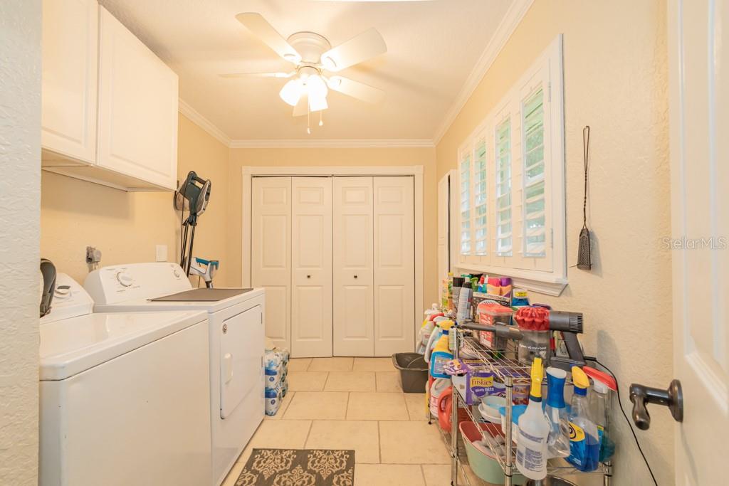 FLORIDA ORANGE GROVE - Residential