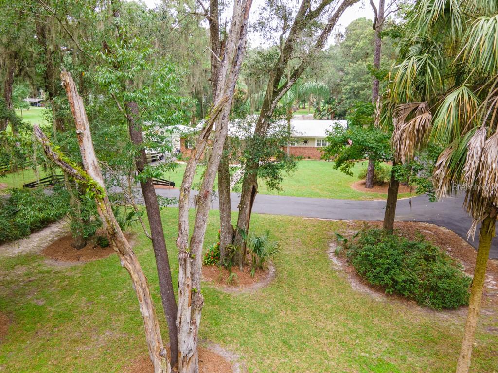FLORIDA ORANGE GROVE - Residential